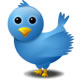 Twitter/ERATE Rate Updates